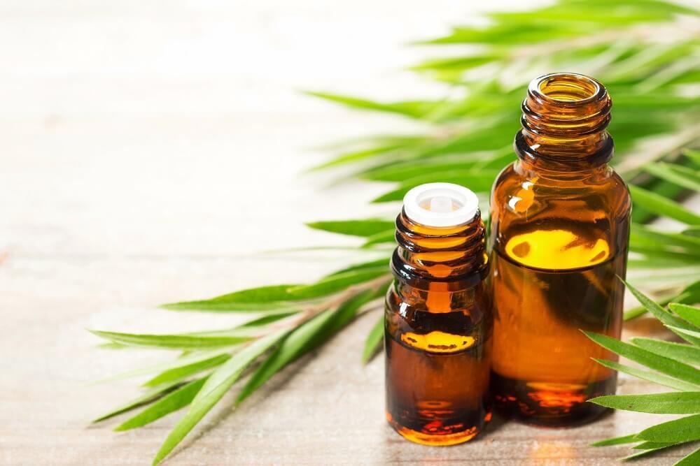 Tinh dầu tràm lọ 10ml ảnh 0