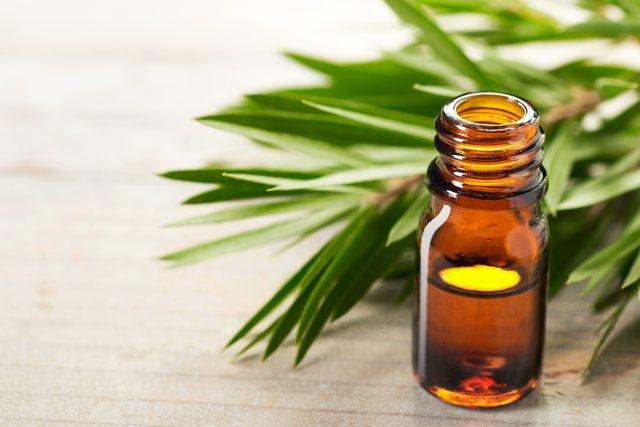 Tinh dầu tràm lọ 10ml ảnh 1