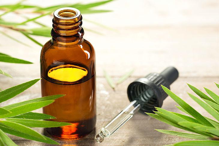 Tinh dầu tràm lọ 30ml ảnh 0